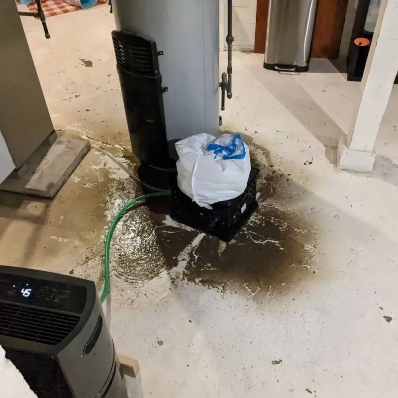 Sewage Backup Cleanup Service in Smith, NV